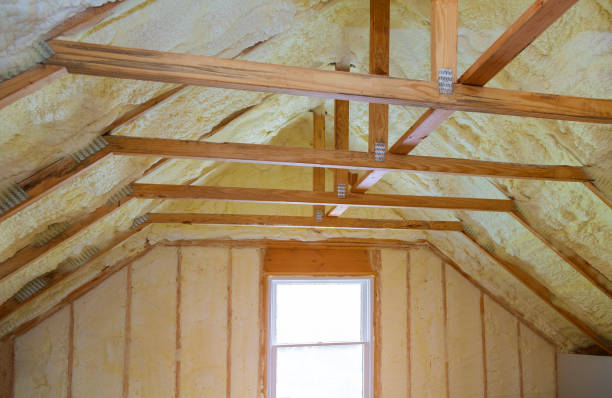 Best Blown-in Insulation in Lockhart, FL